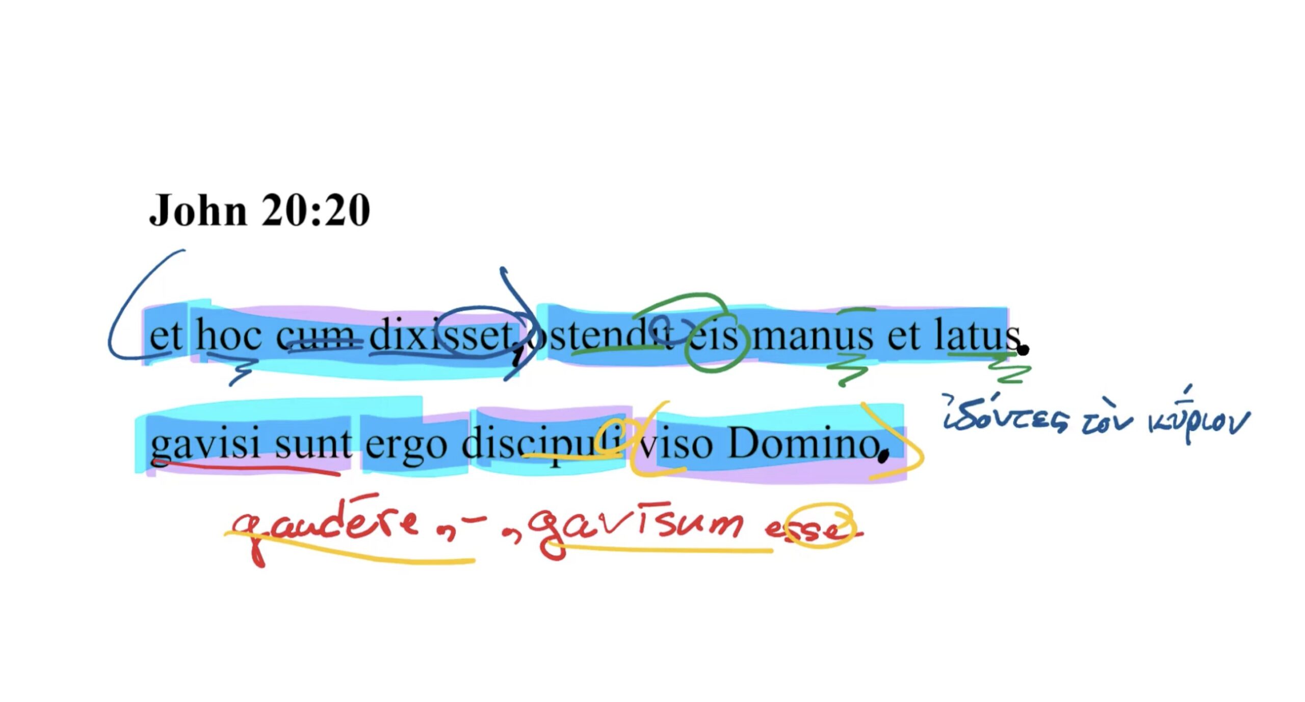 John 20:20 Latin Vulgate