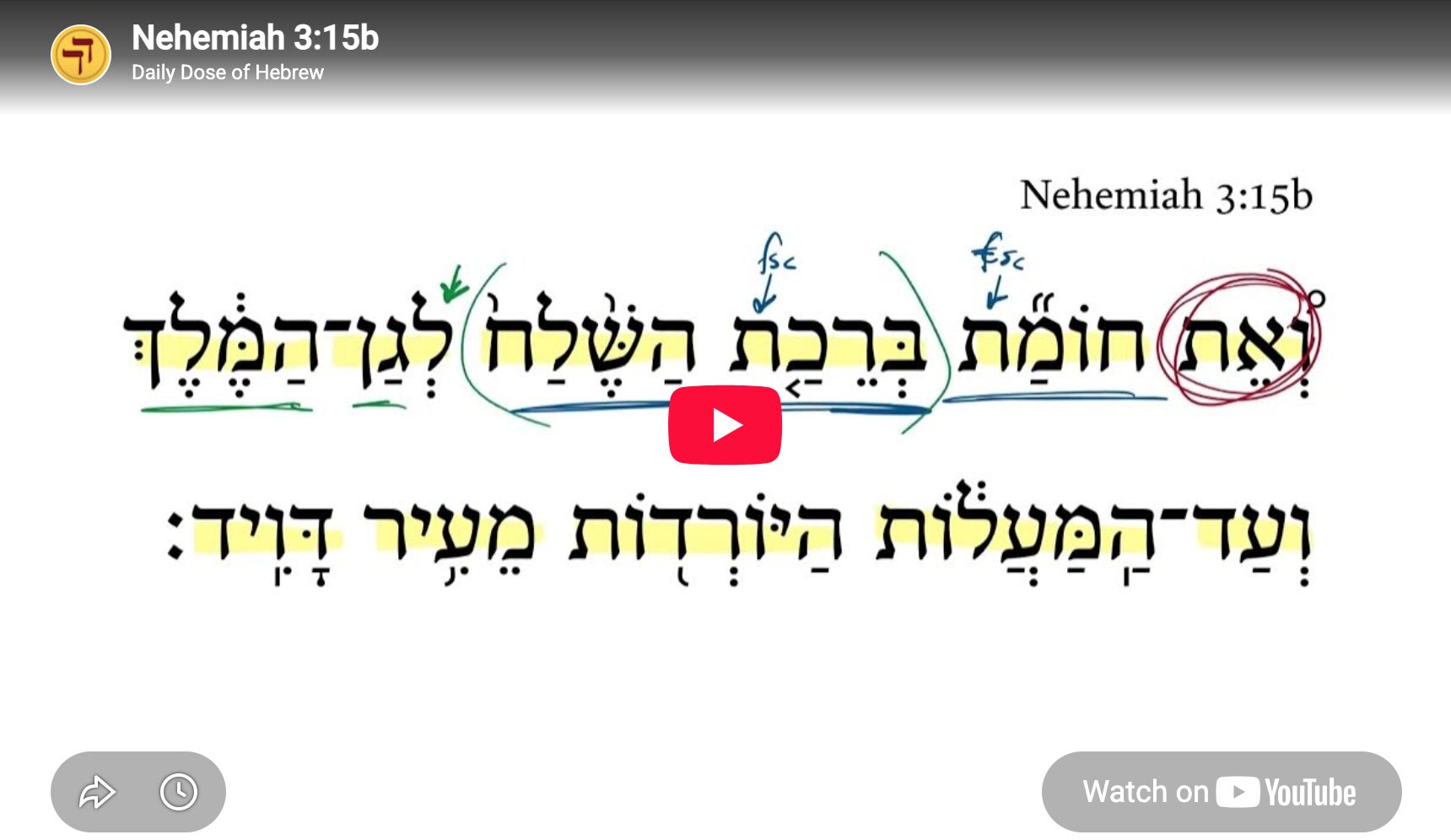 Nehemiah 3:15b