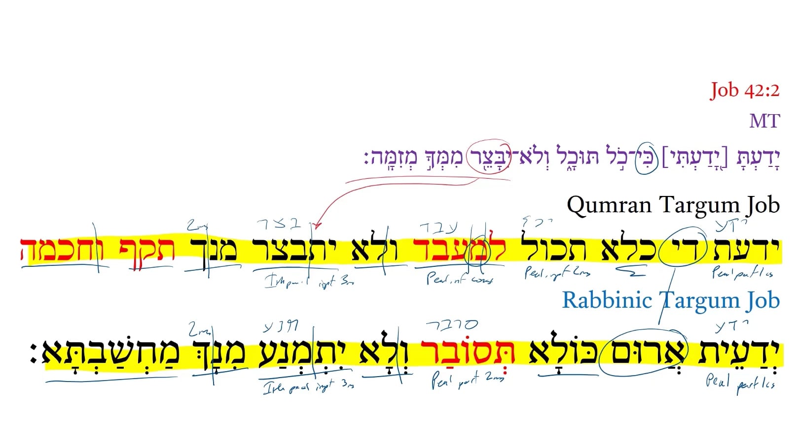 Qumran Targum Job 42:2b