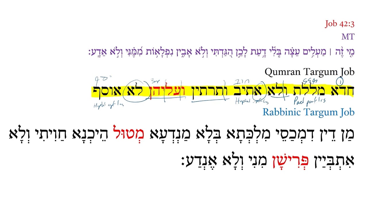 Qumran Targum Job 42:3a