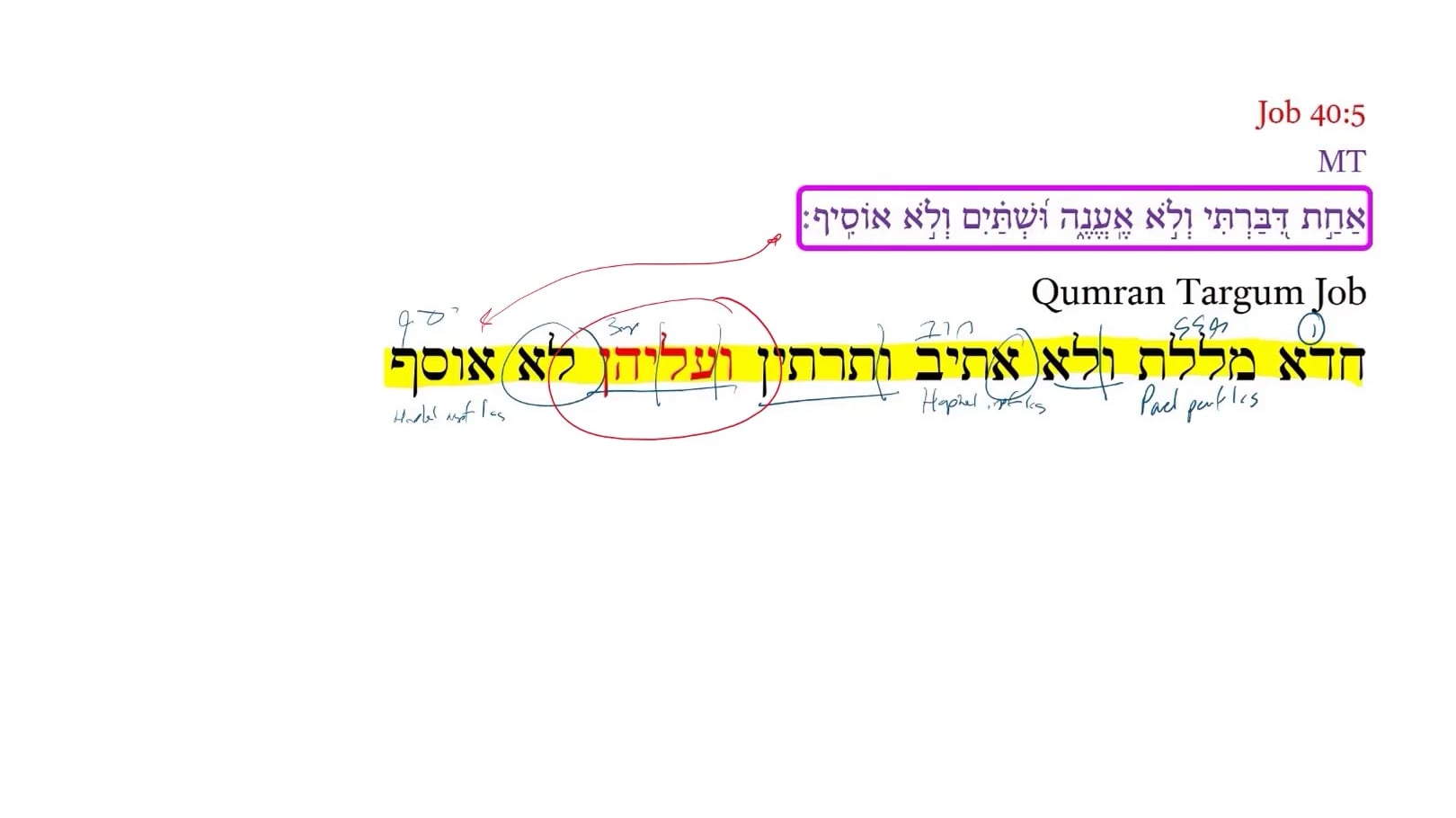 Qumran Targum Job 42:3b