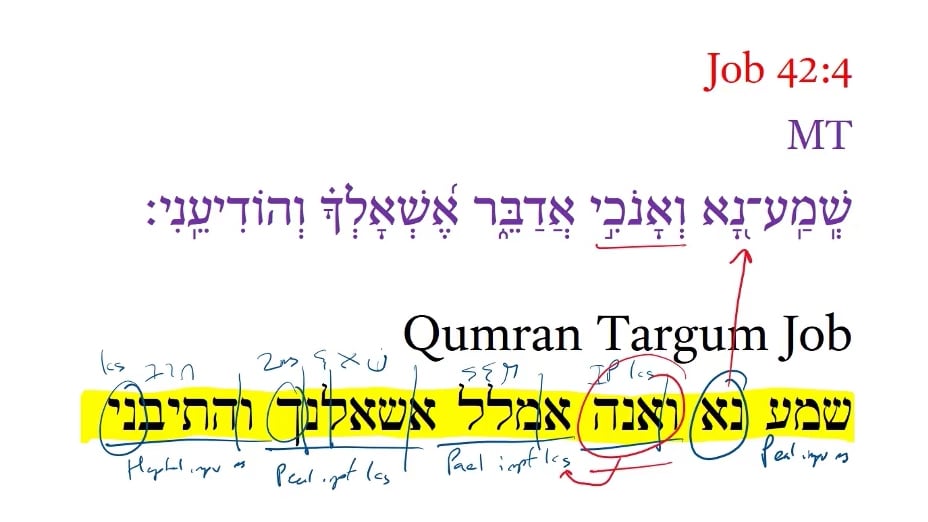 Qumran Targum Job 42:4a