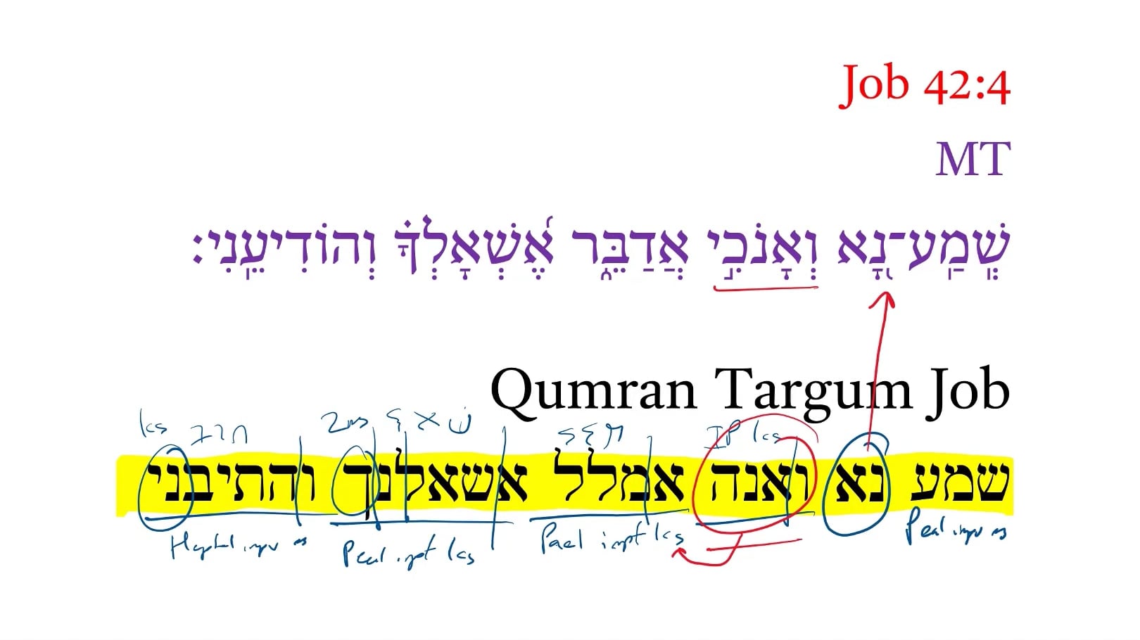 Qumran Targum Job 42:4c