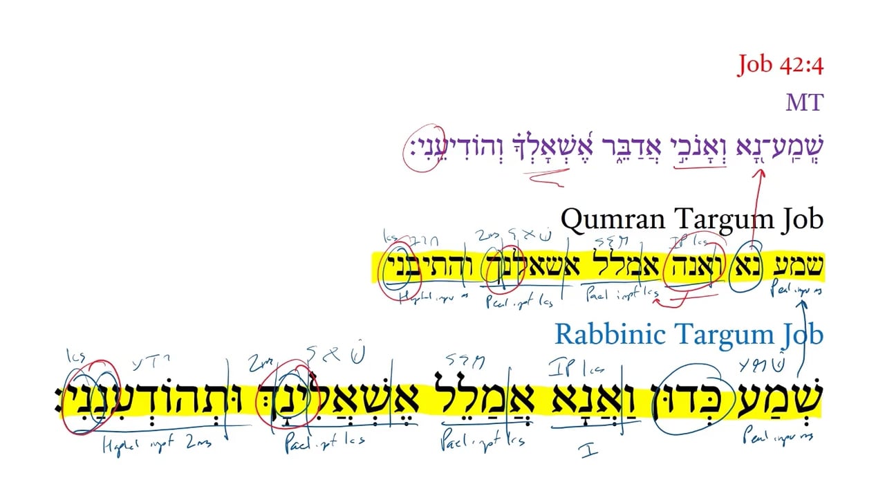 Qumran Targum Job 42:4d