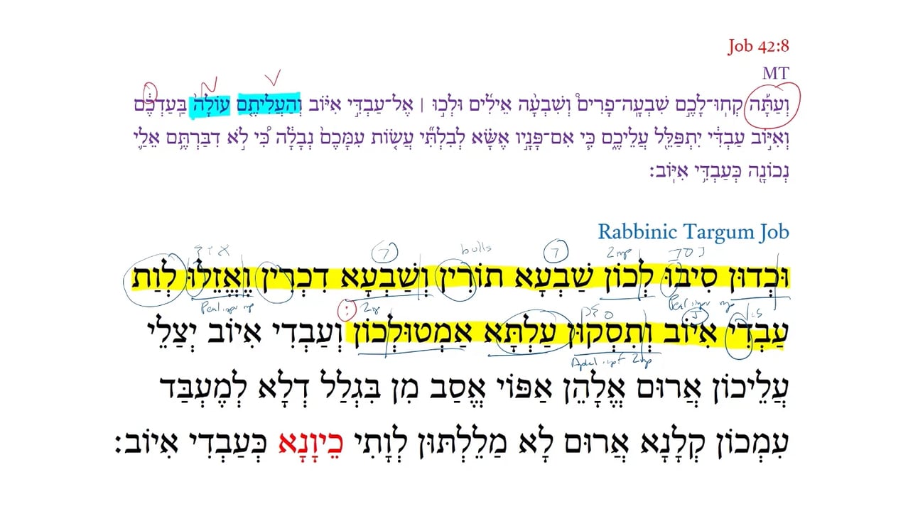 Qumran Targum Job 42:8a