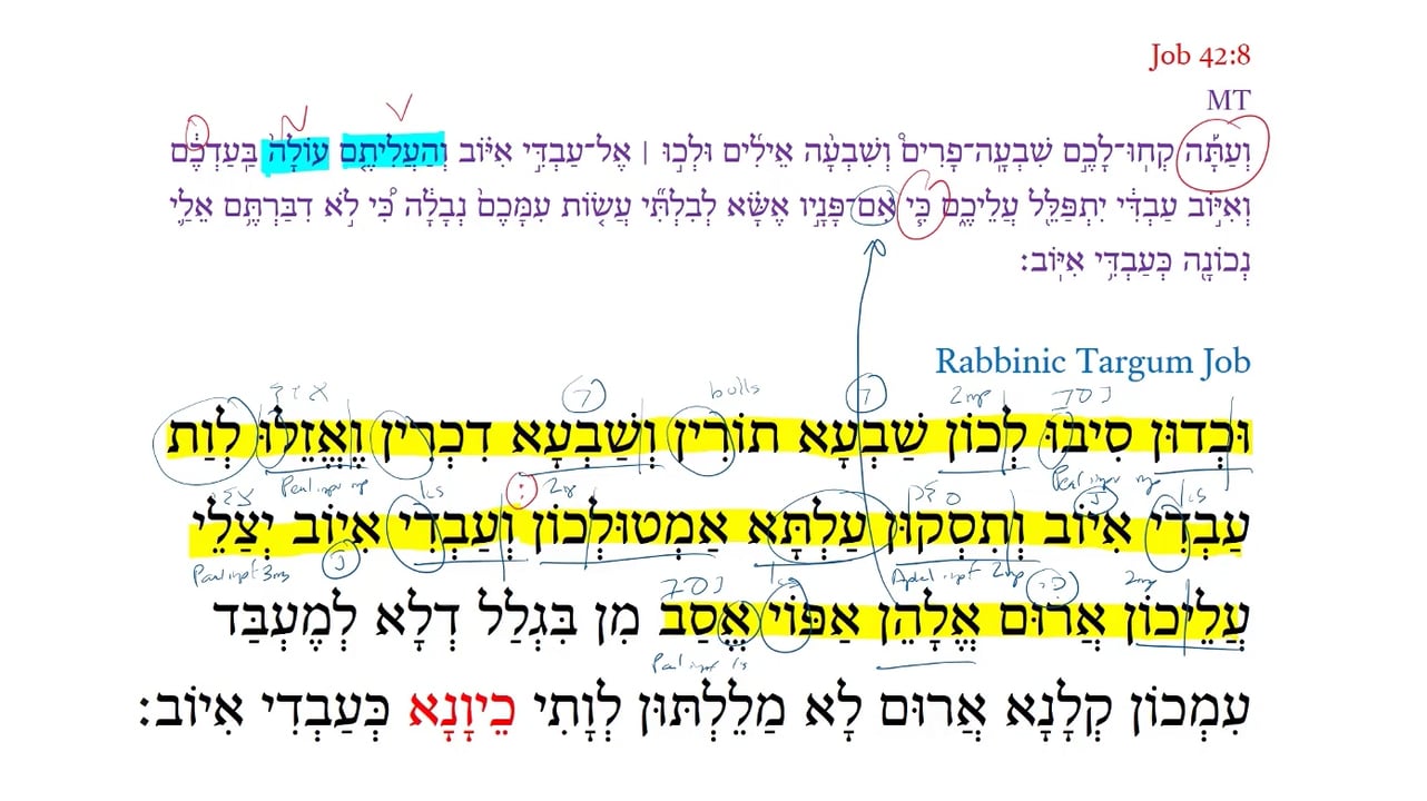 Qumran Targum Job 42:8b