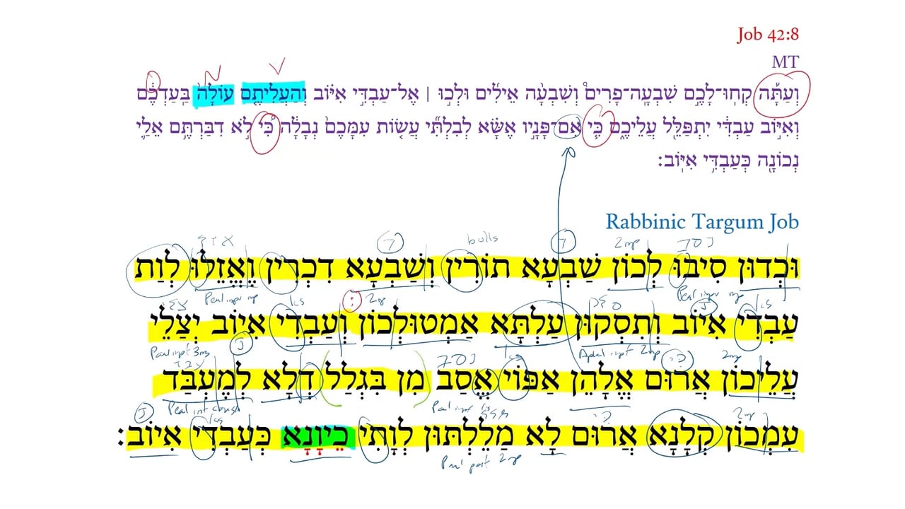 Qumran Targum Job 42:8c