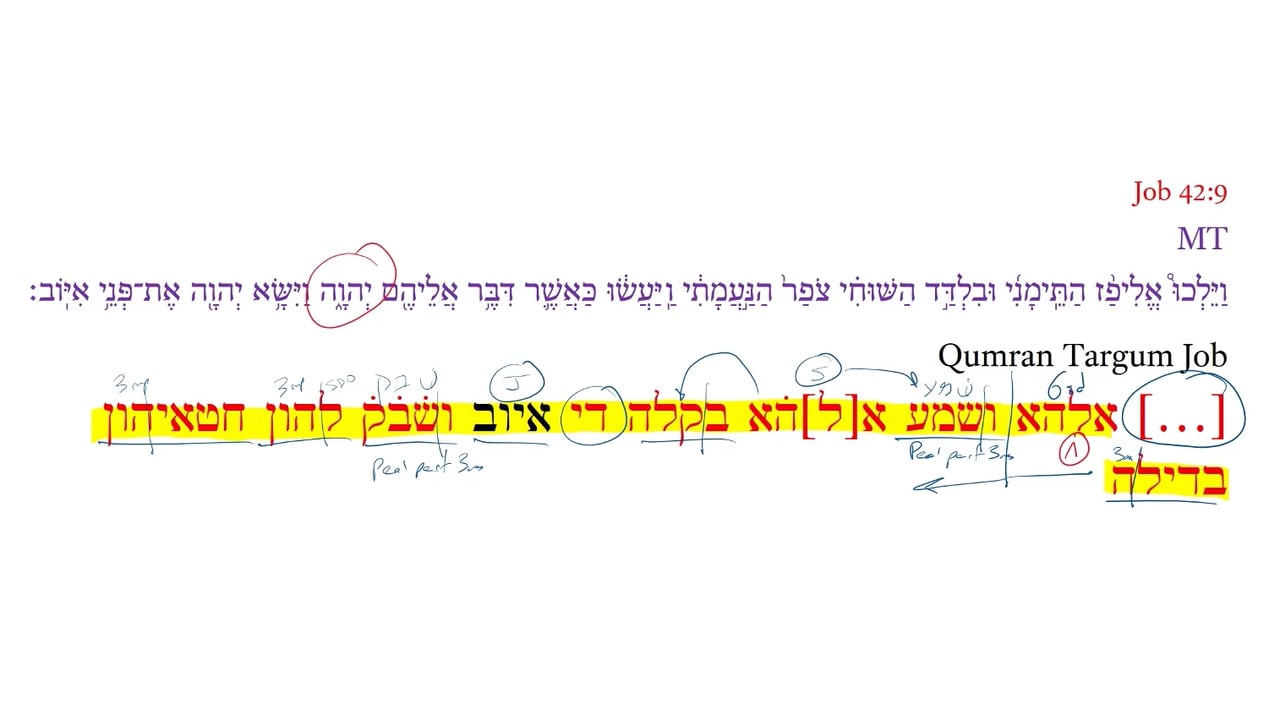 Qumran Targum Job 42:9a