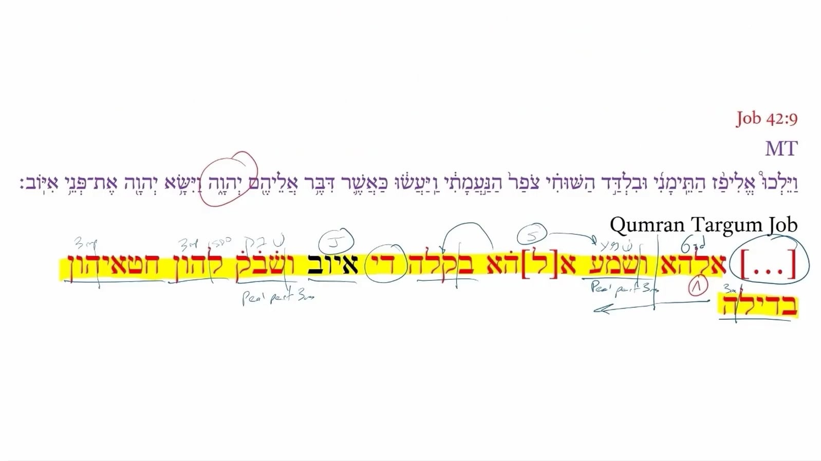 Qumran Targum Job 42:9b