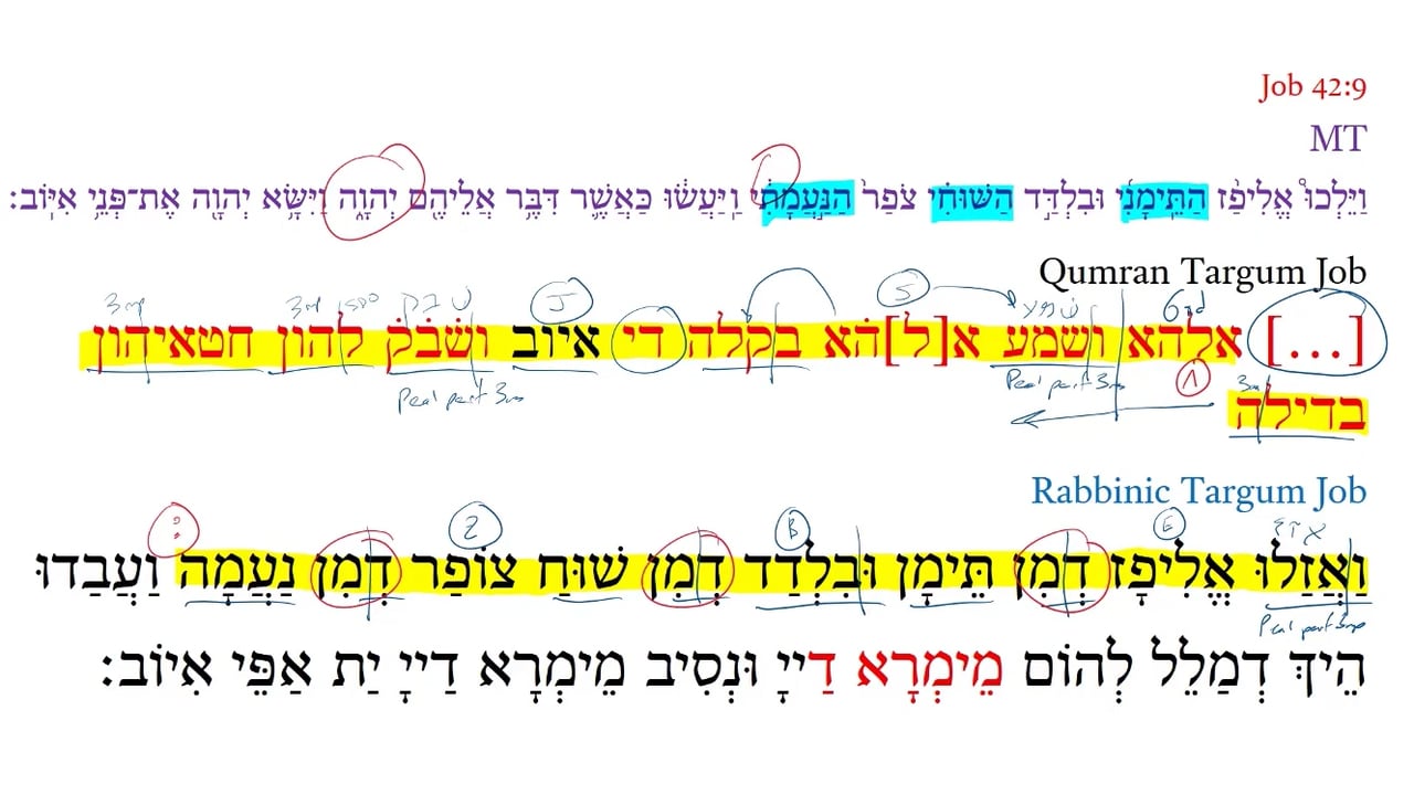 Qumran Targum Job 42:9c