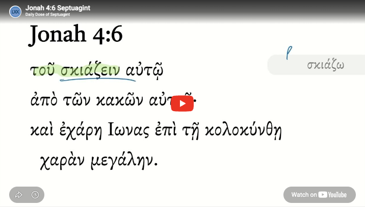 Jonah 4:6 Septuagint