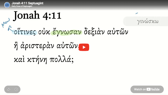 Jonah 4:11 Septuagint