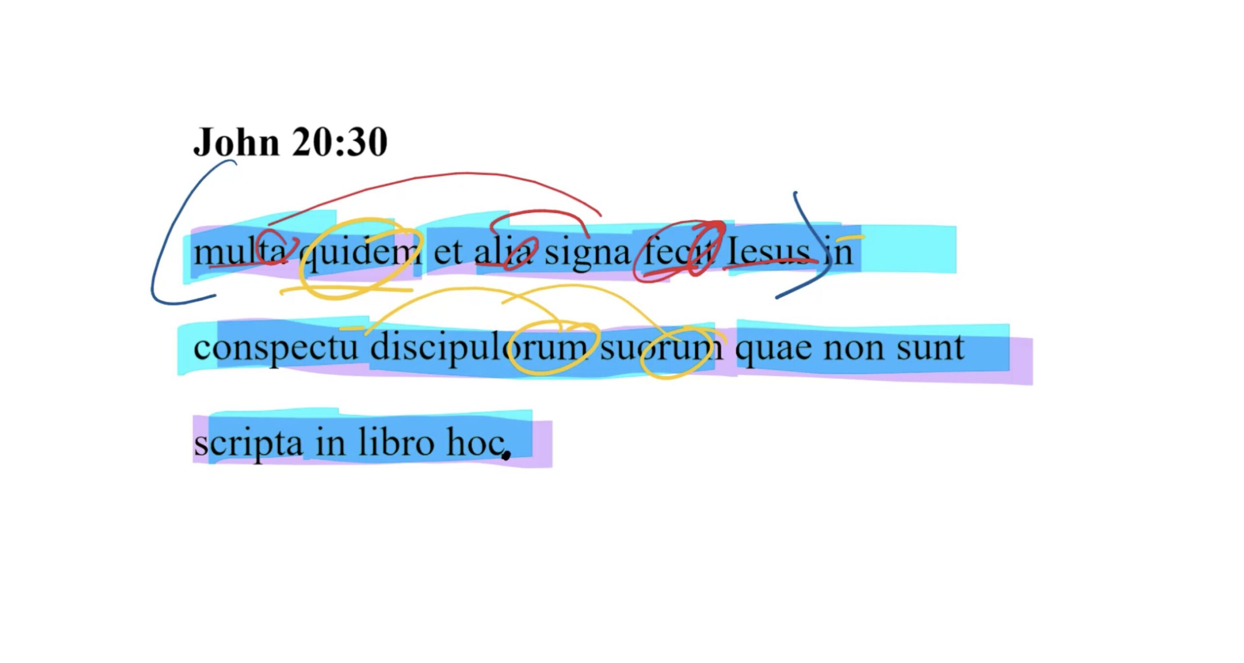 John 20:30 Latin Vulgate
