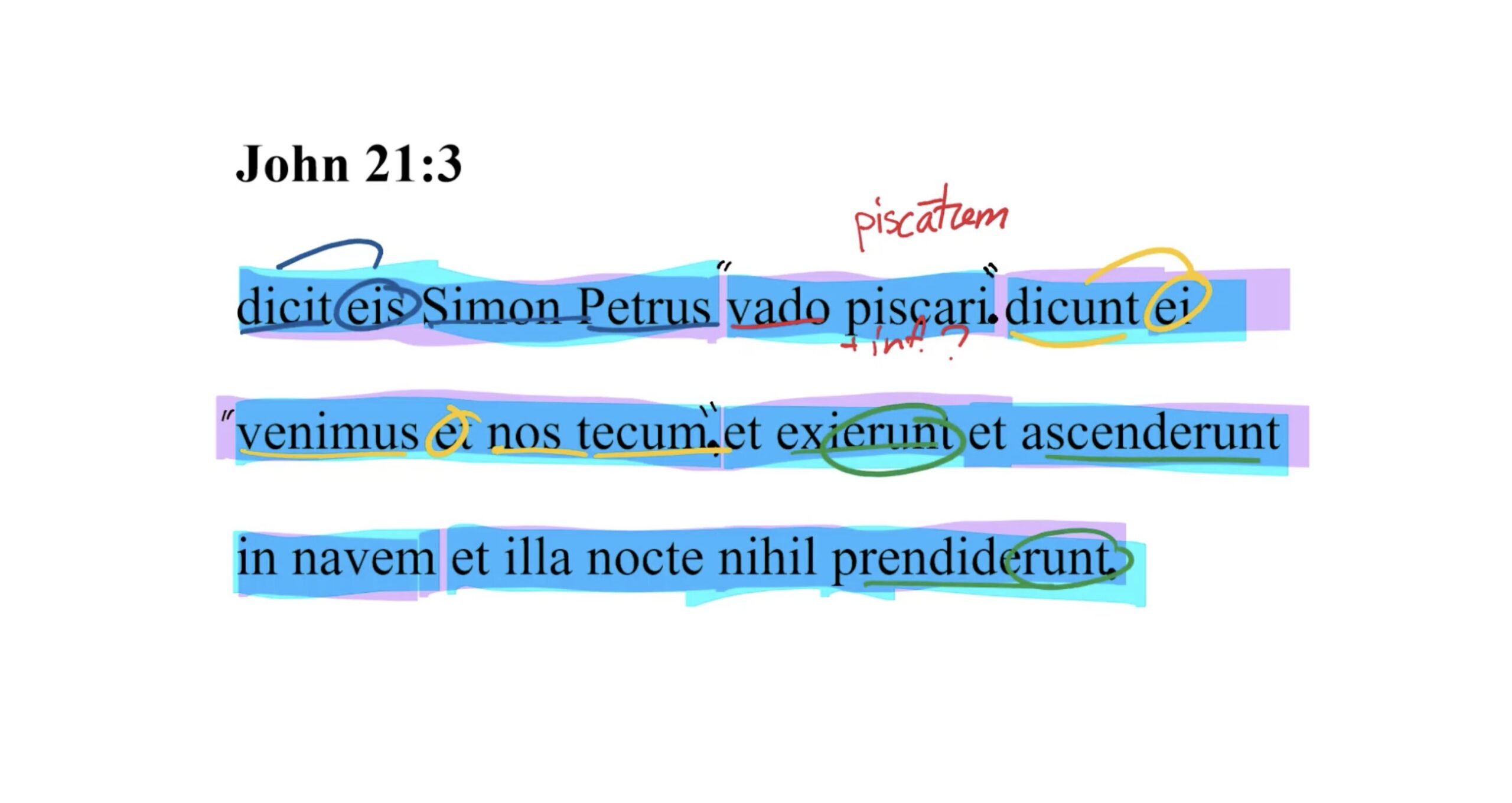 John 21:3 Latin Vulgate