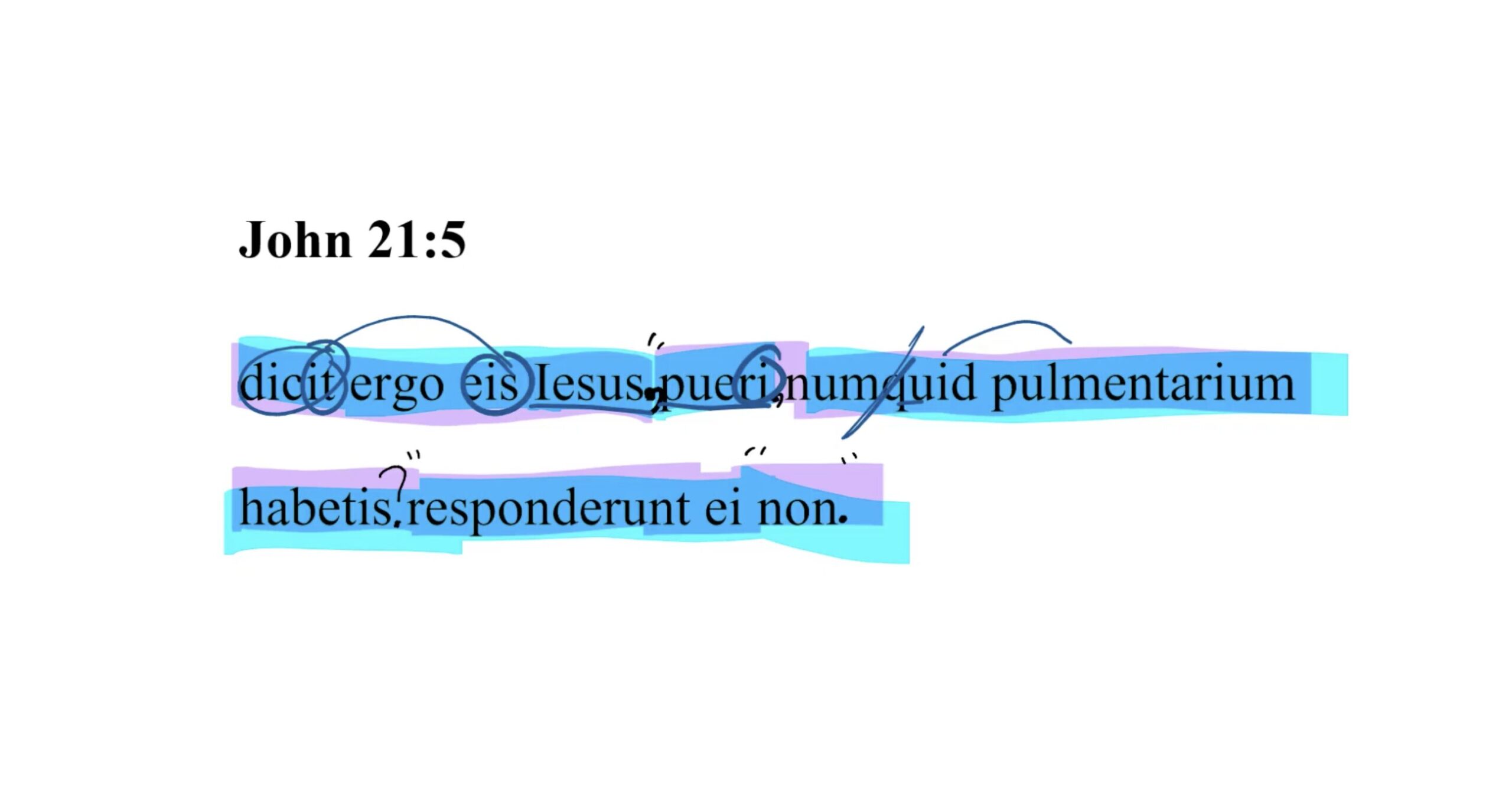 John 21:5 Latin Vulgate