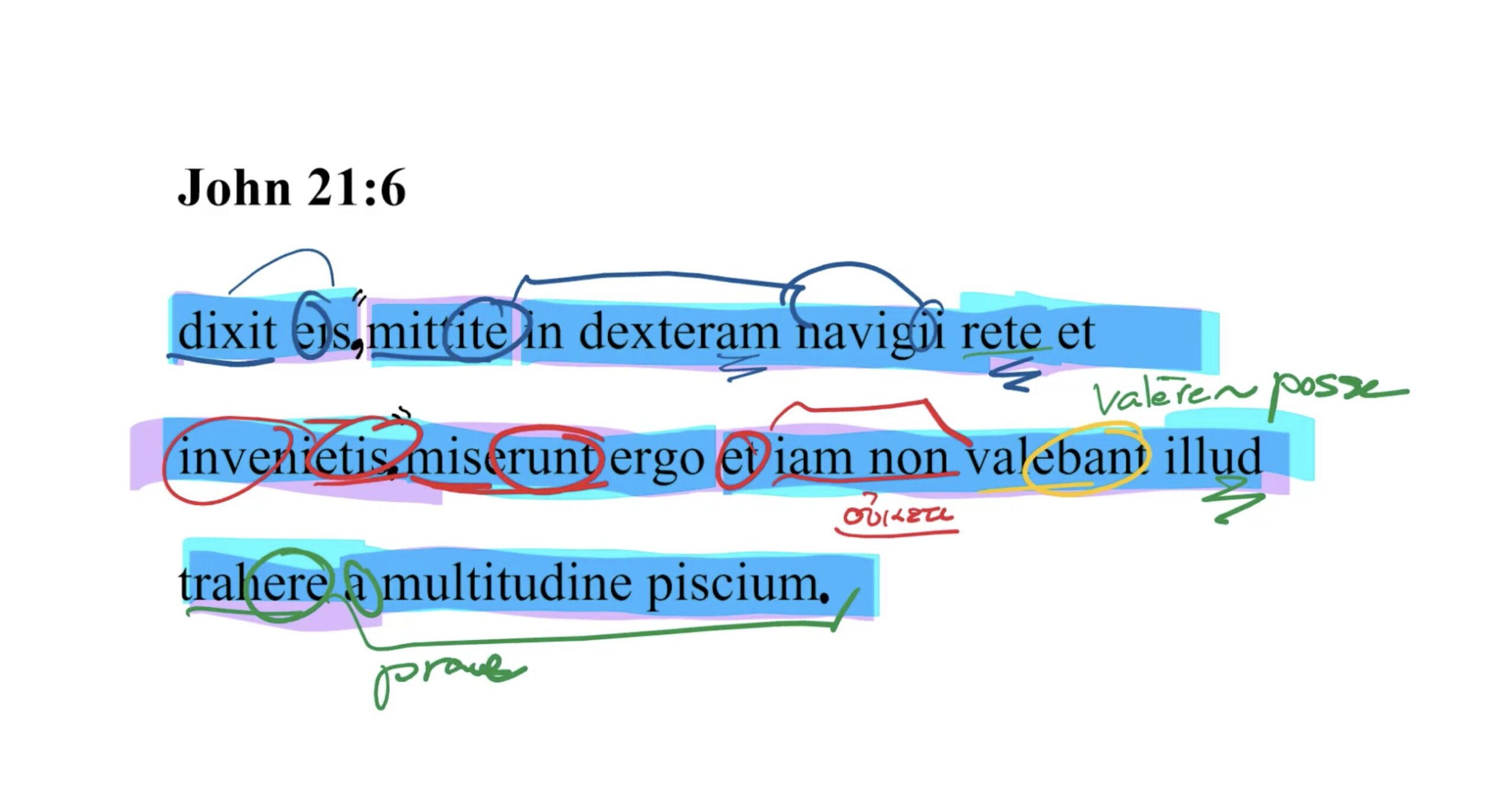John 21:6 Latin Vulgate
