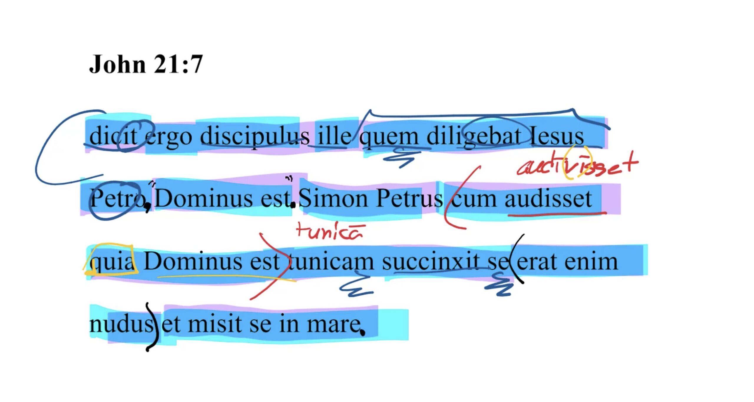 John 21:7 Latin Vulgate
