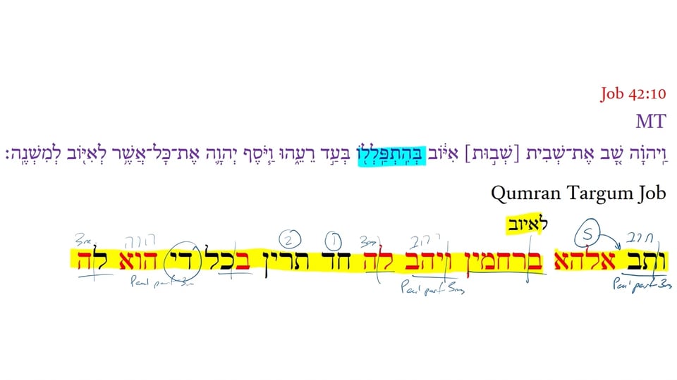 Qumran Targum Job 42:10b