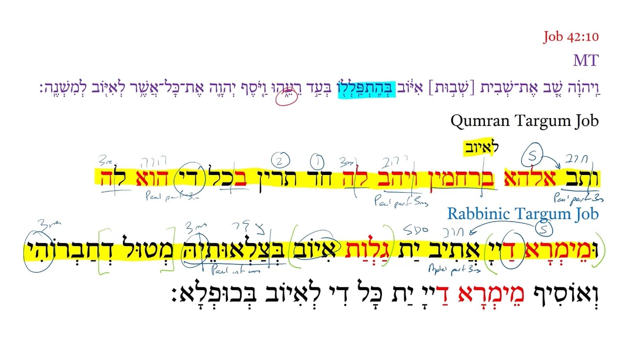 Qumran Targum Job 42:10c