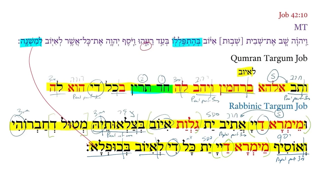 Qumran Targum Job 42:10d