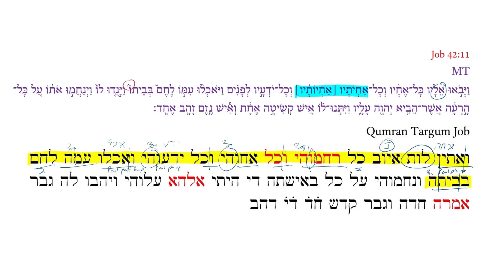 Qumran Targum Job 42:11a