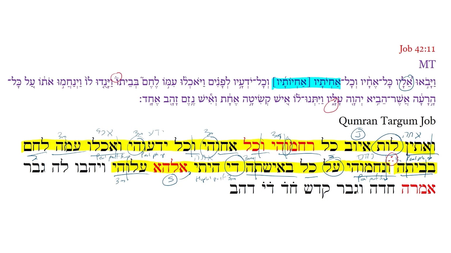 Qumran Targum Job 42:11b