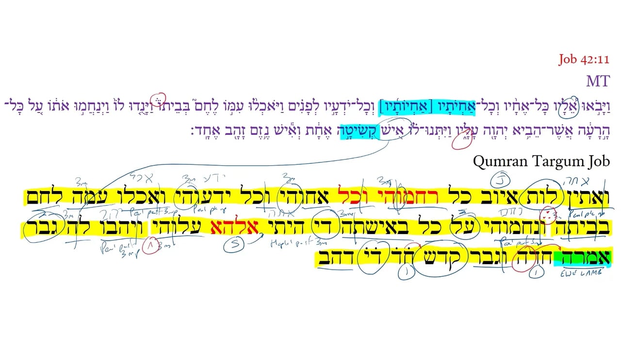 Qumran Targum Job 42:11c