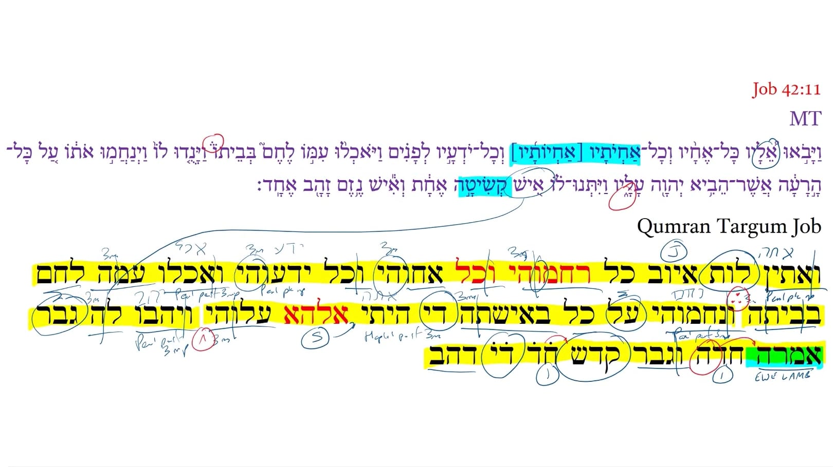 Qumran Targum Job 42:11d