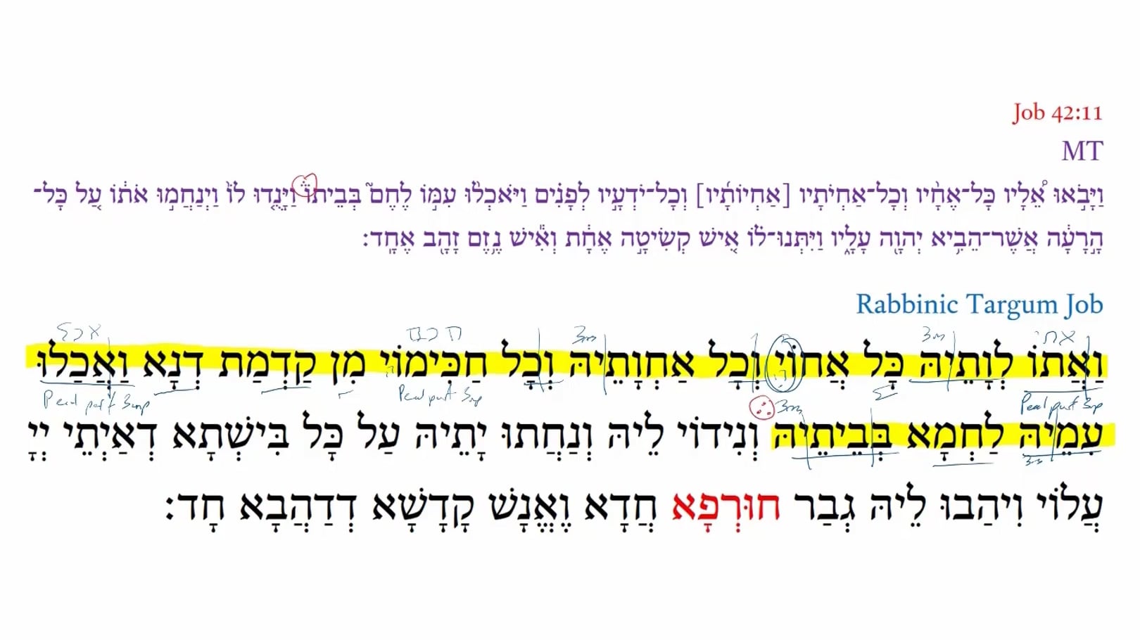 Qumran Targum Job 42:11e