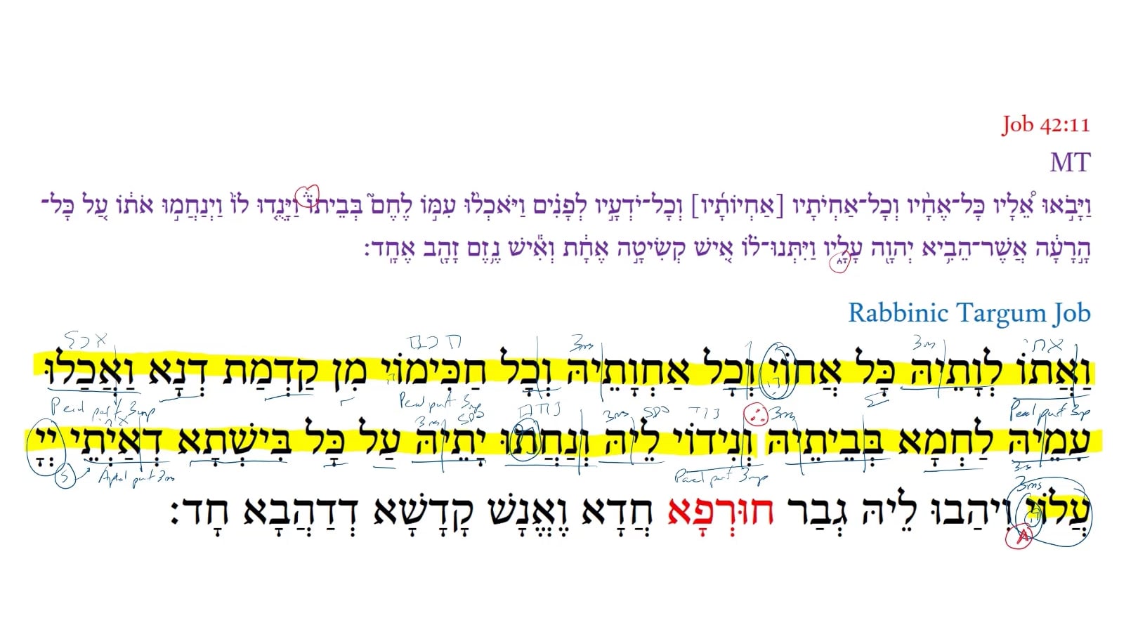 Qumran Targum Job 42:11f