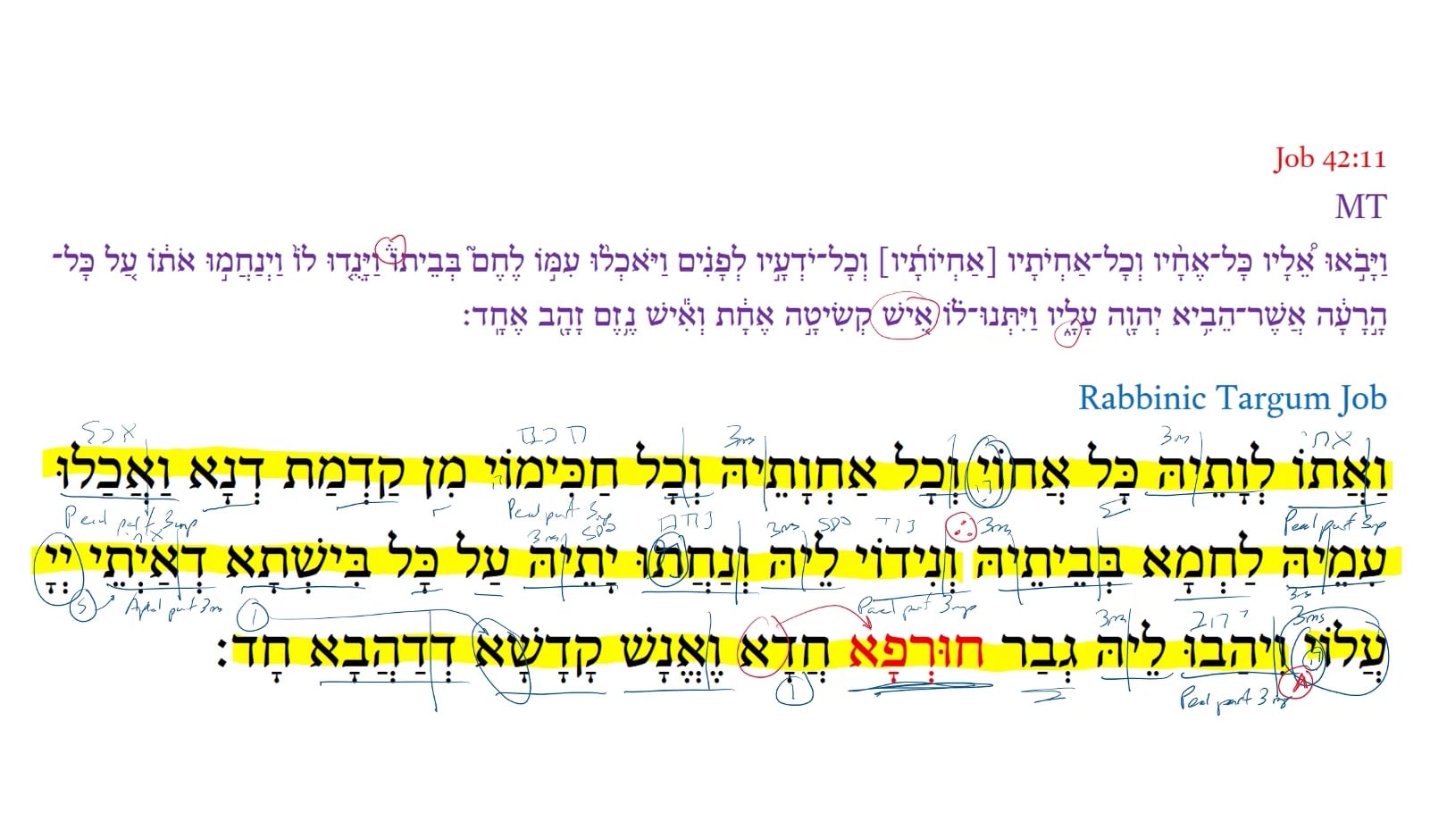 Qumran Targum Job 42:11g