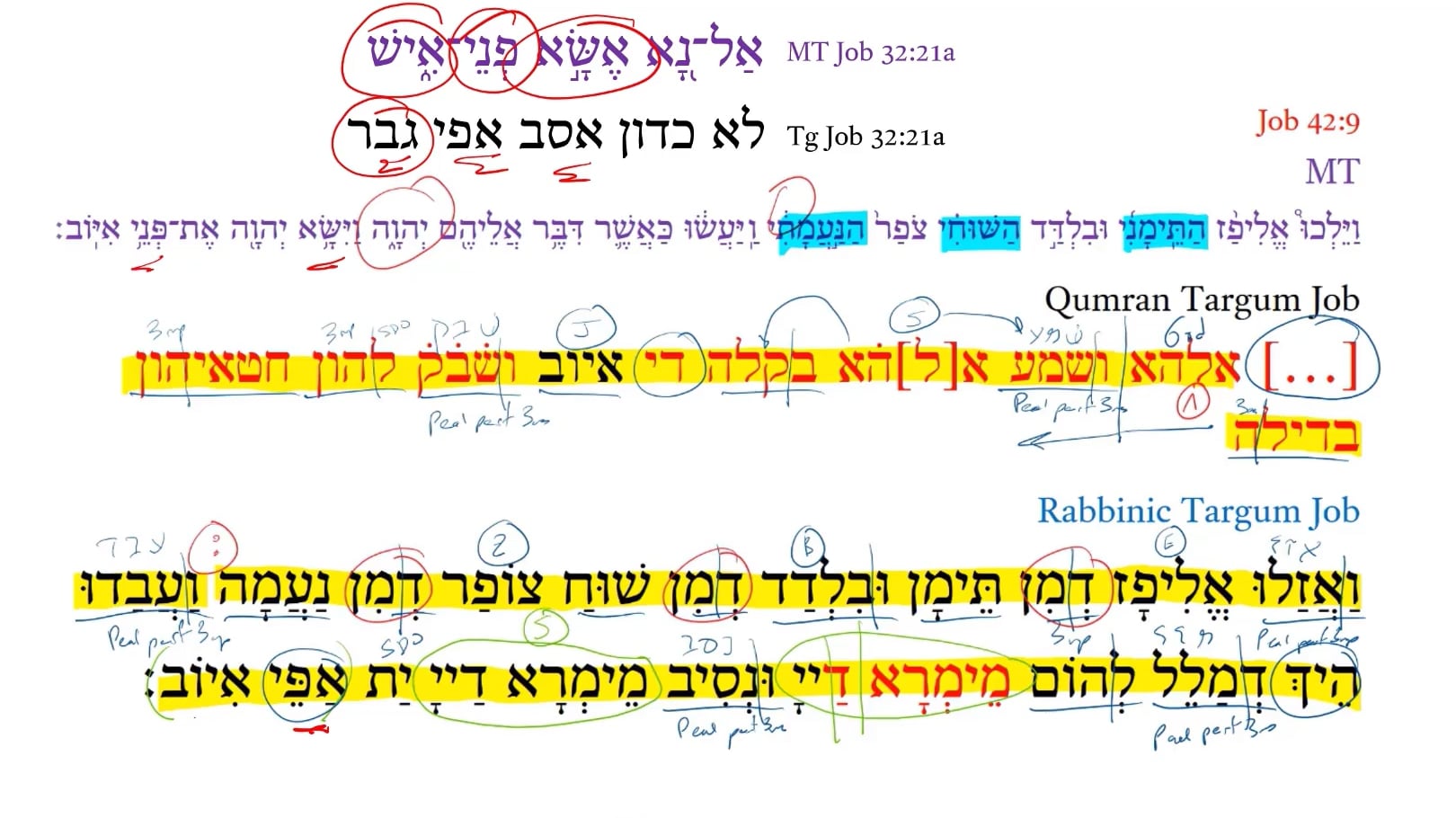 Qumran Targum Job 42:9d
