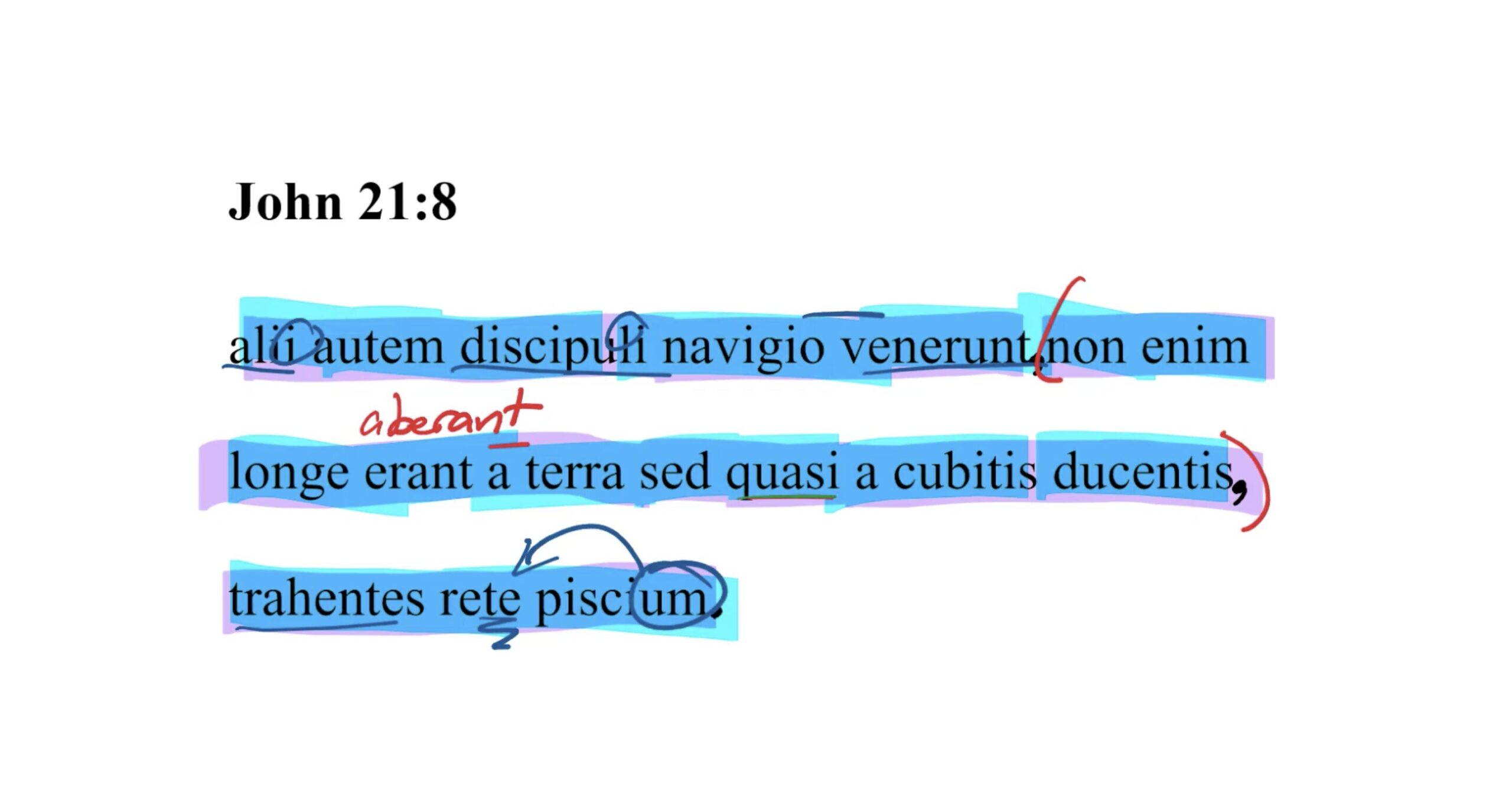 John 21:8 Latin Vulgate