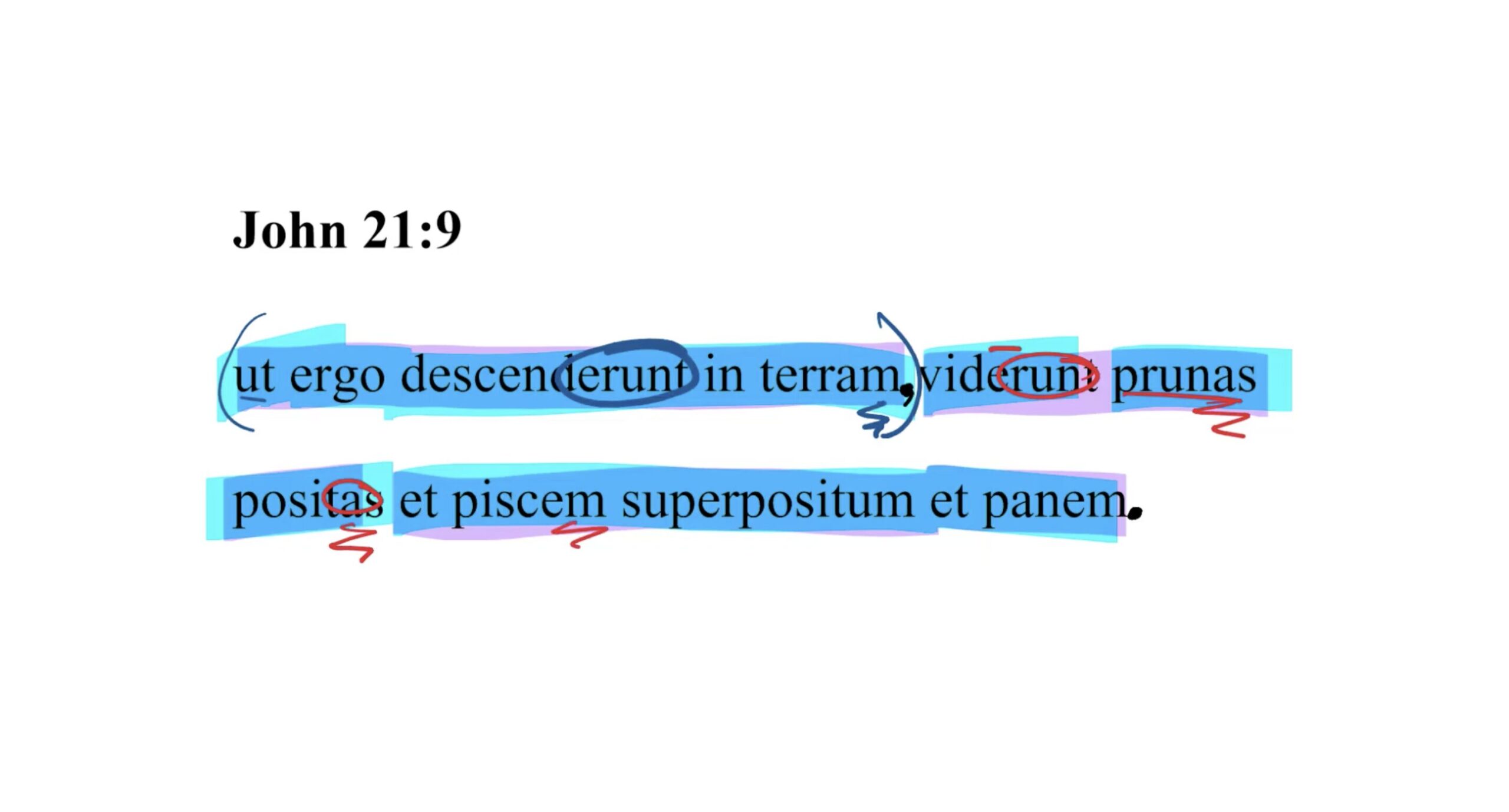 John 21:9 Latin Vulgate