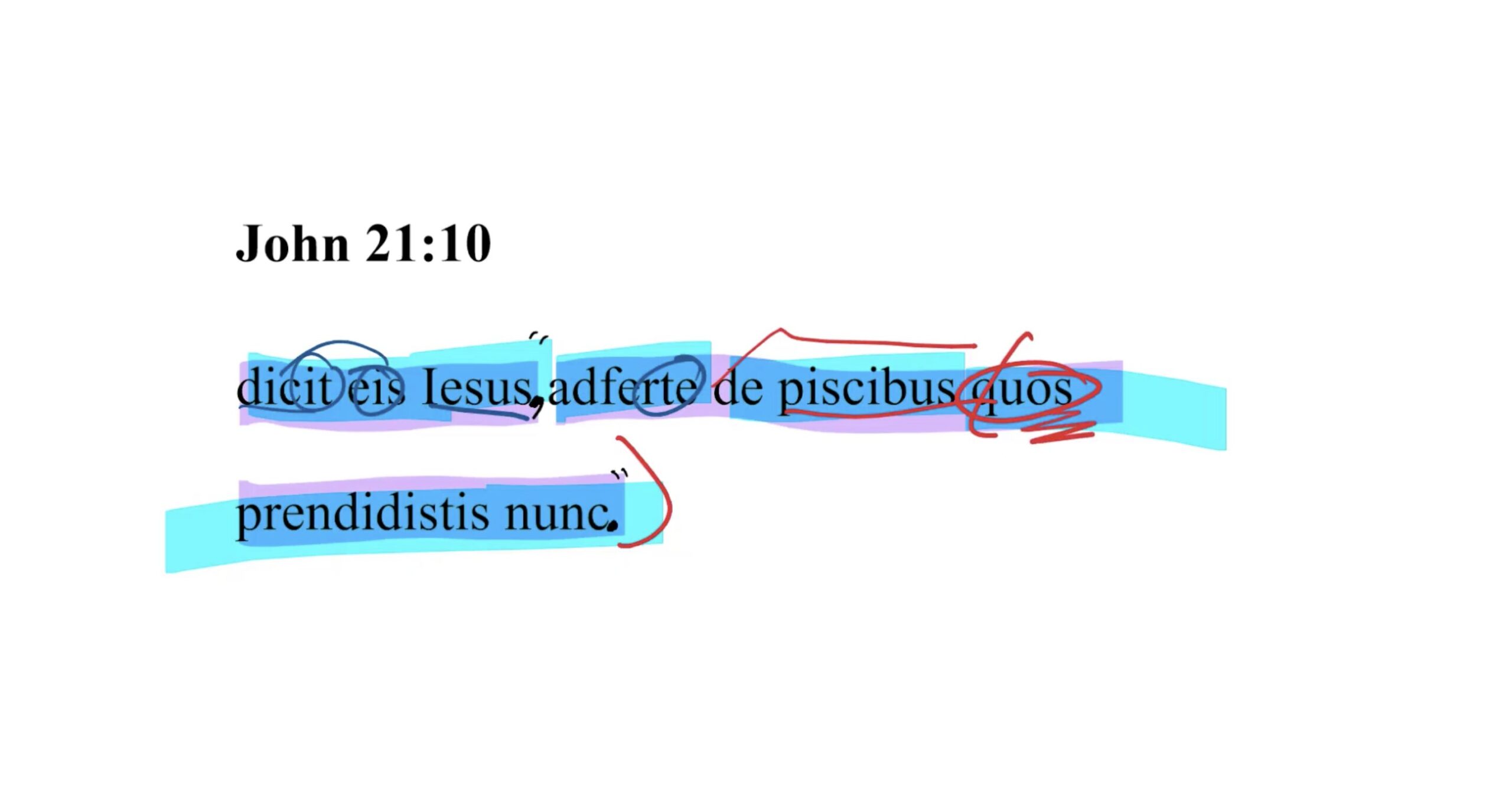 John 21:10 Latin Vulgate