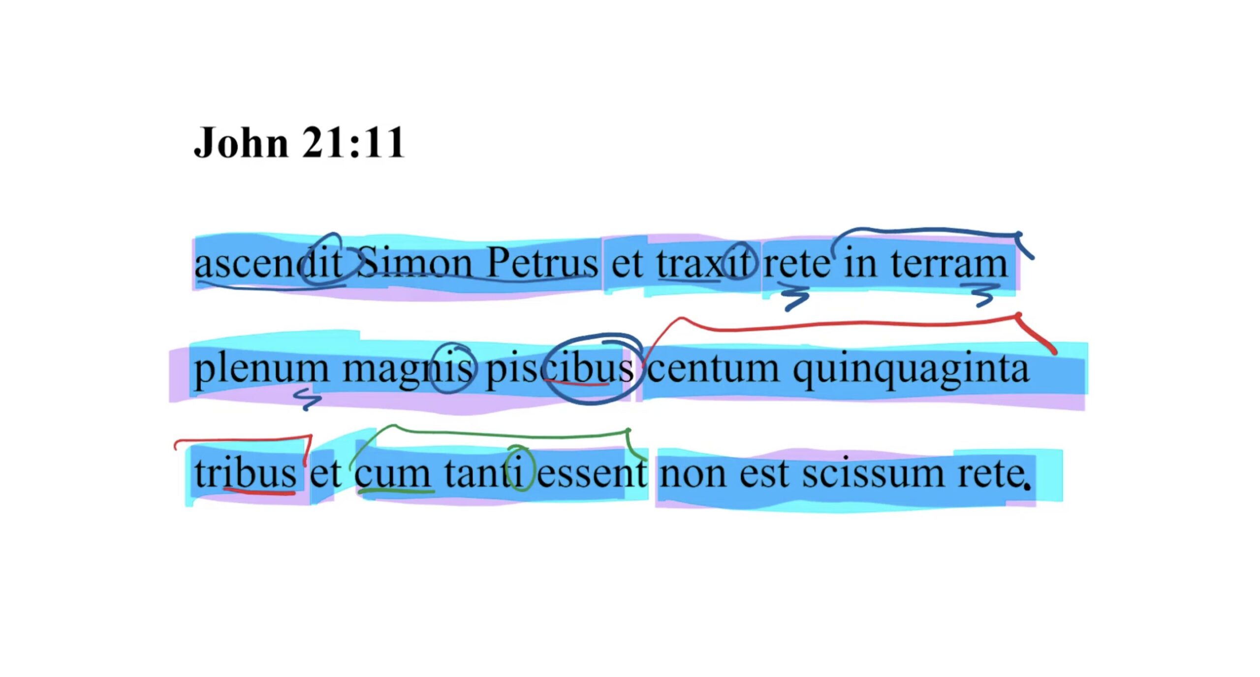 John 21:11 Latin Vulgate