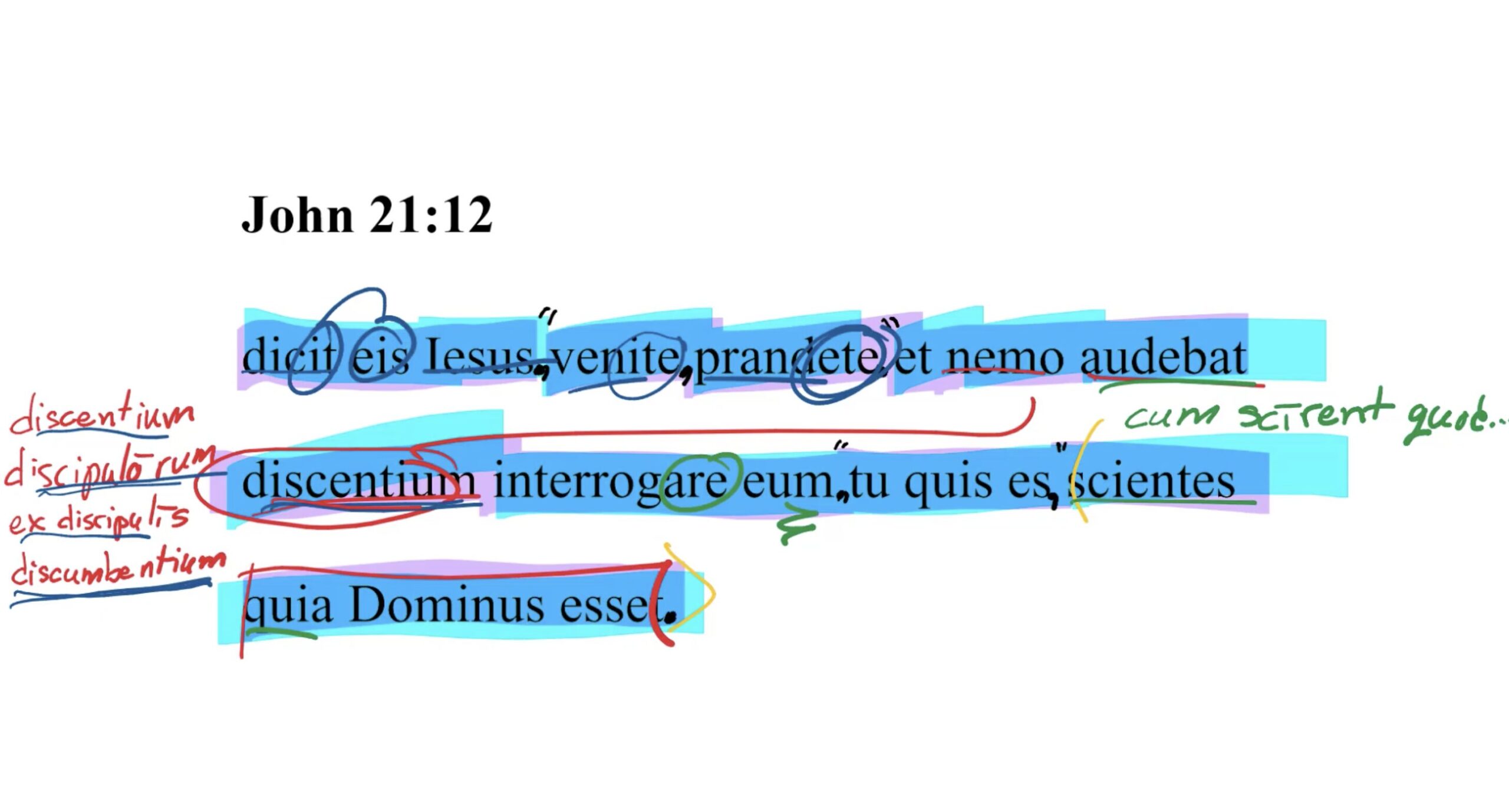 John 21:12 Latin Vulgate
