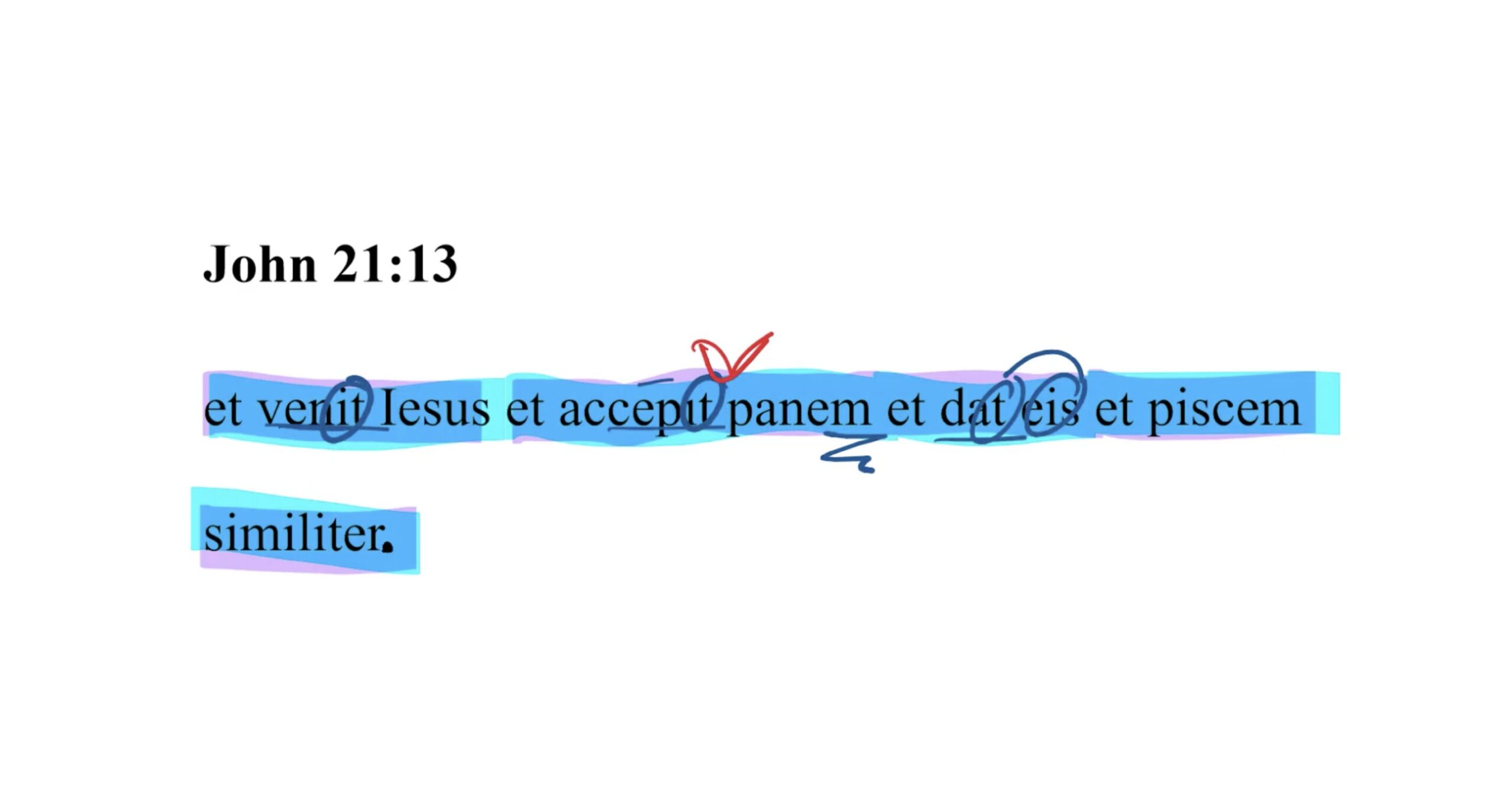 John 21:13 Latin Vulgate