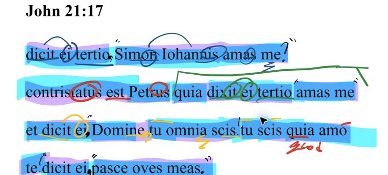 John 21:17 Latin Vulgate