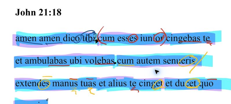 John 21:18 Latin Vulgate