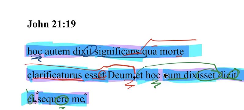 John 21:19 Latin Vulgate