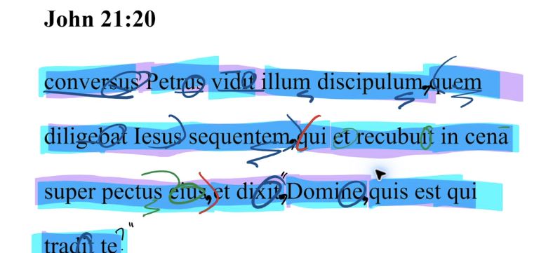 John 21:20 Latin Vulgate