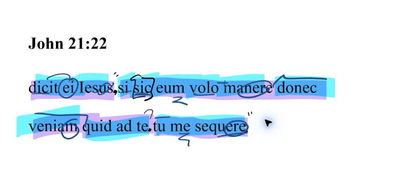 John 21:22 Latin Vulgate