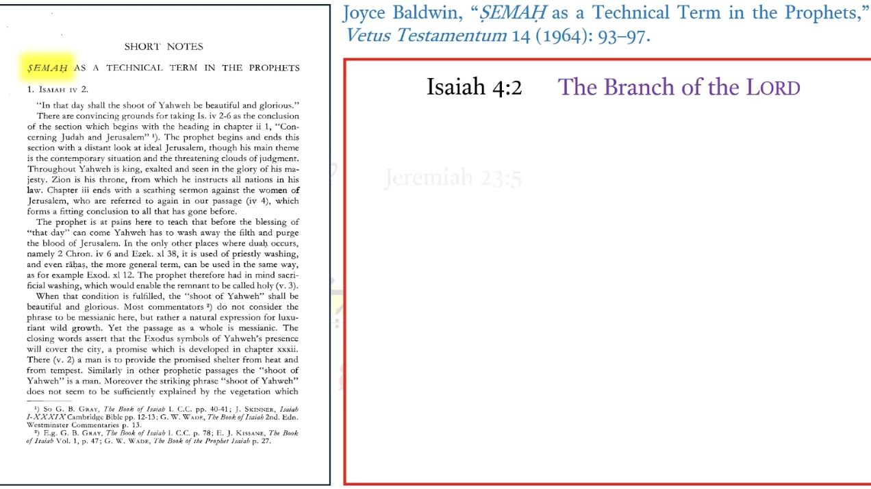 Targum Isaiah 4:2b