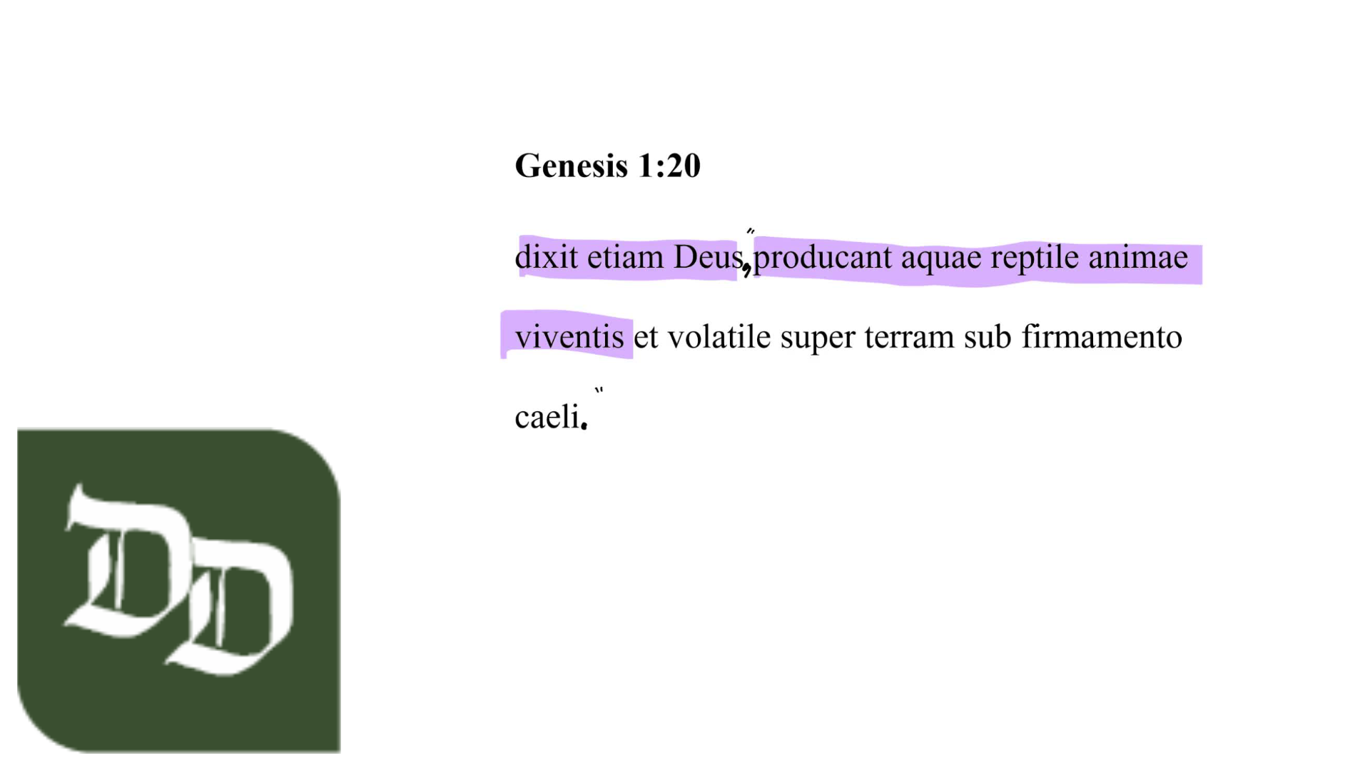 Genesis 1:20 Latin Vulgate