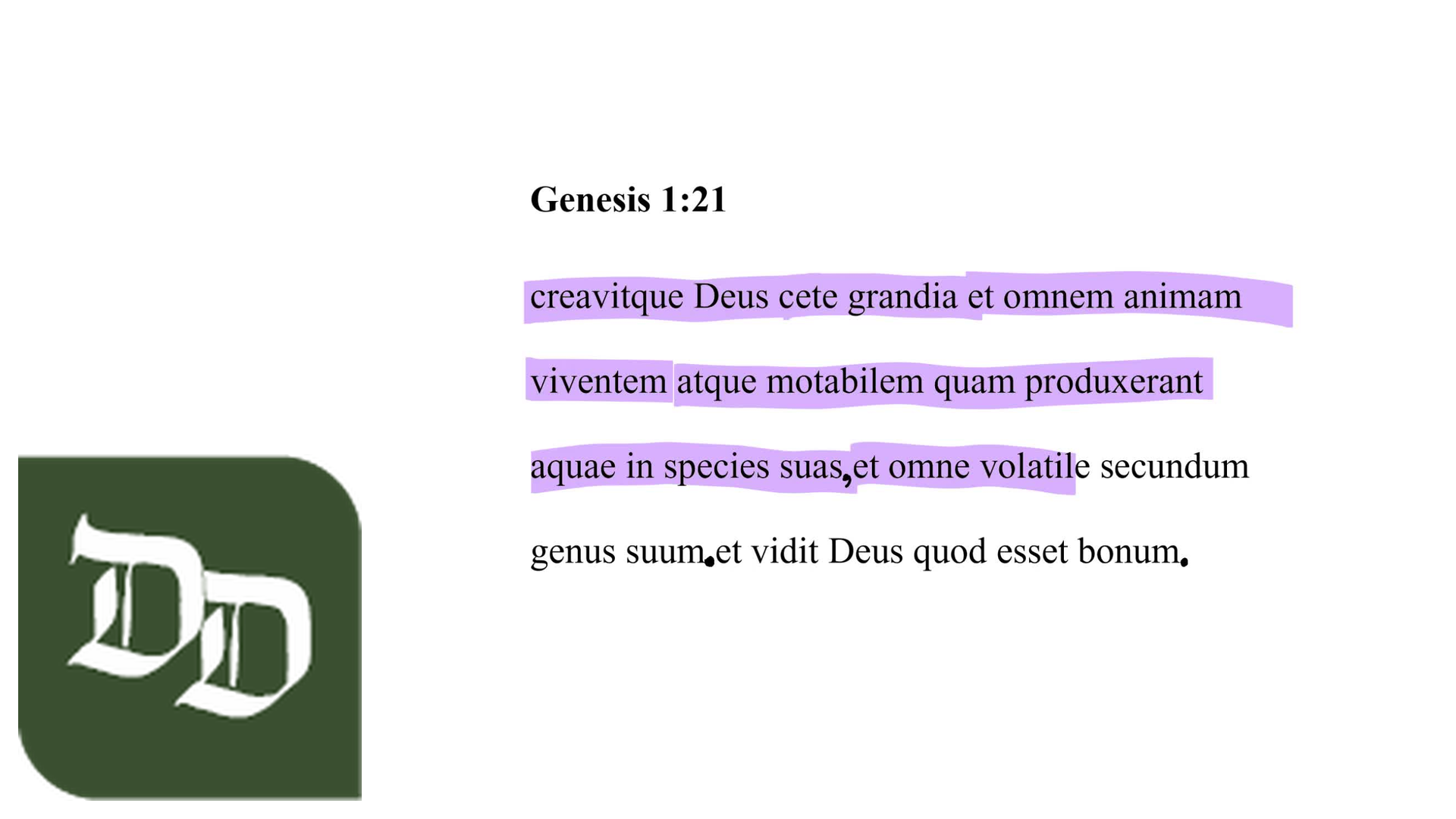 Genesis 1:21 Latin Vulgate