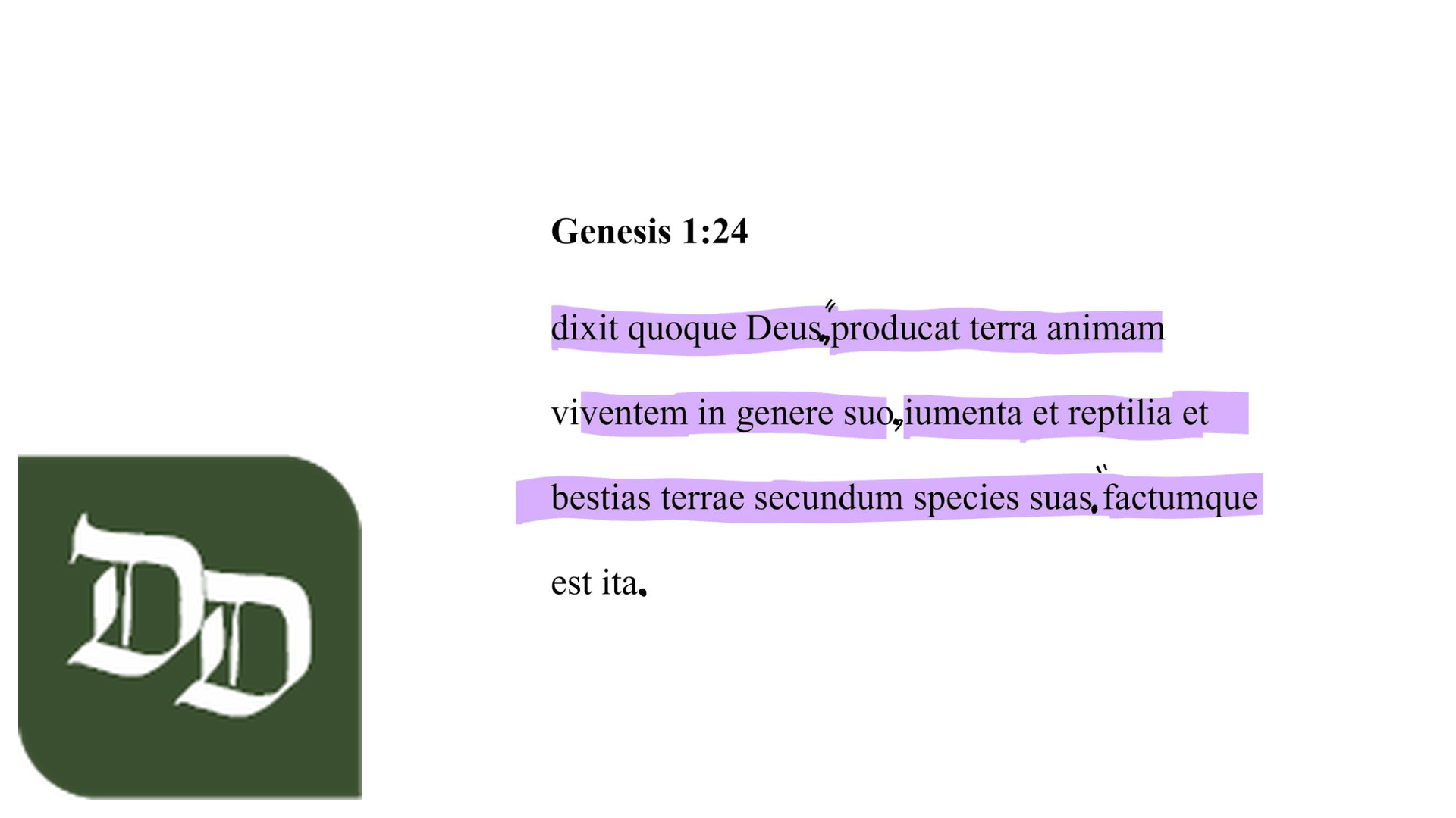 Genesis 1:24 Latin Vulgate