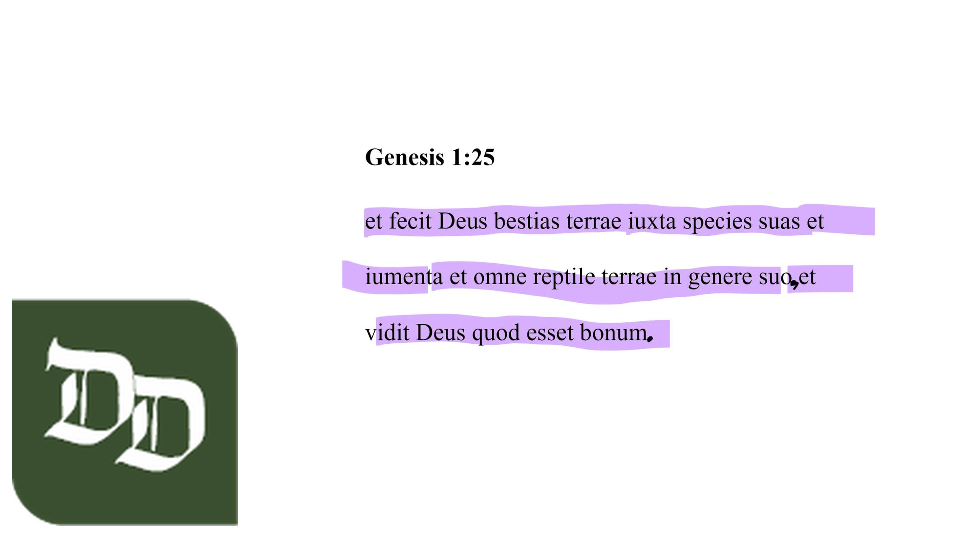 Genesis 1:25 Latin Vulgate