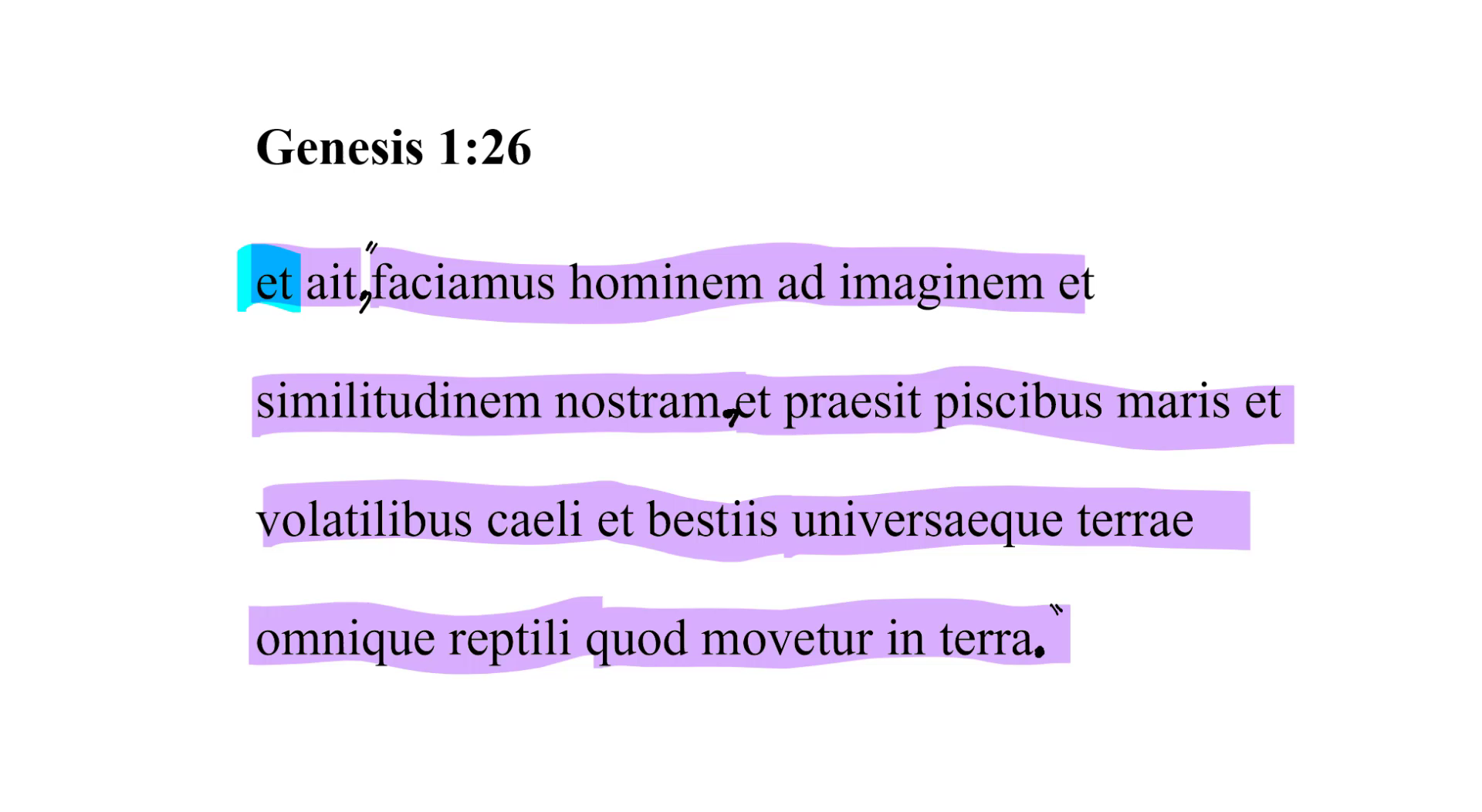 Genesis 1:26 Latin Vulgate