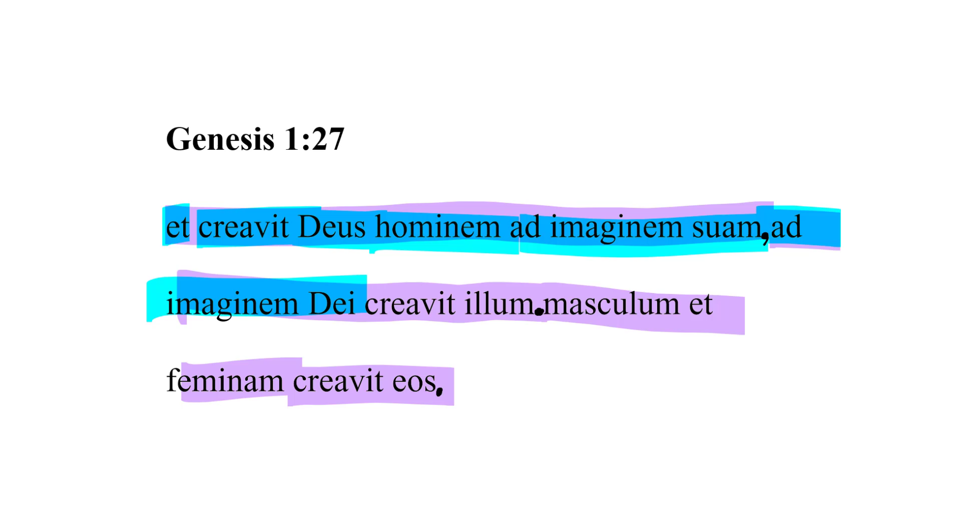Genesis 1:27 Latin Vulgate
